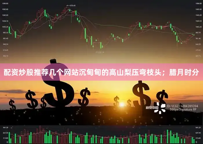 配资炒股推荐几个网站沉甸甸的高山梨压弯枝头；腊月时分