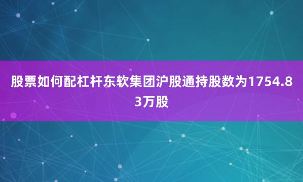 股票如何配杠杆东软集团沪股通持股数为1754.83万股