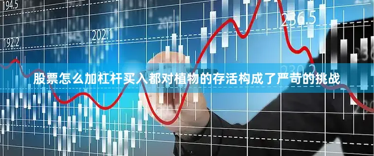 股票怎么加杠杆买入都对植物的存活构成了严苛的挑战