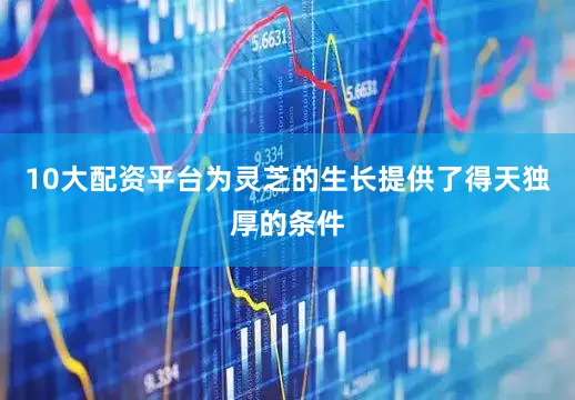 10大配资平台为灵芝的生长提供了得天独厚的条件