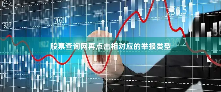 股票查询网再点击相对应的举报类型